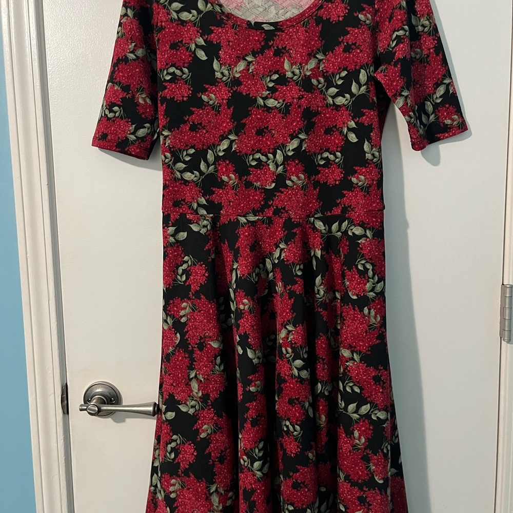 LulaRoe dress size xl.